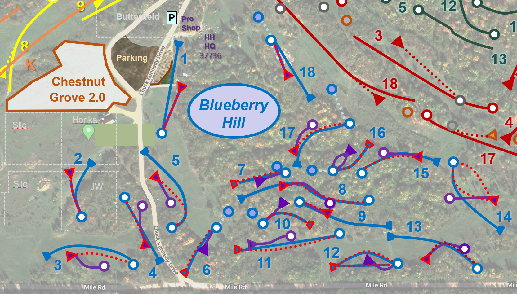 Blueberry Hill Highbridge Hills Disc Golf Megaplex "Mountain Man's